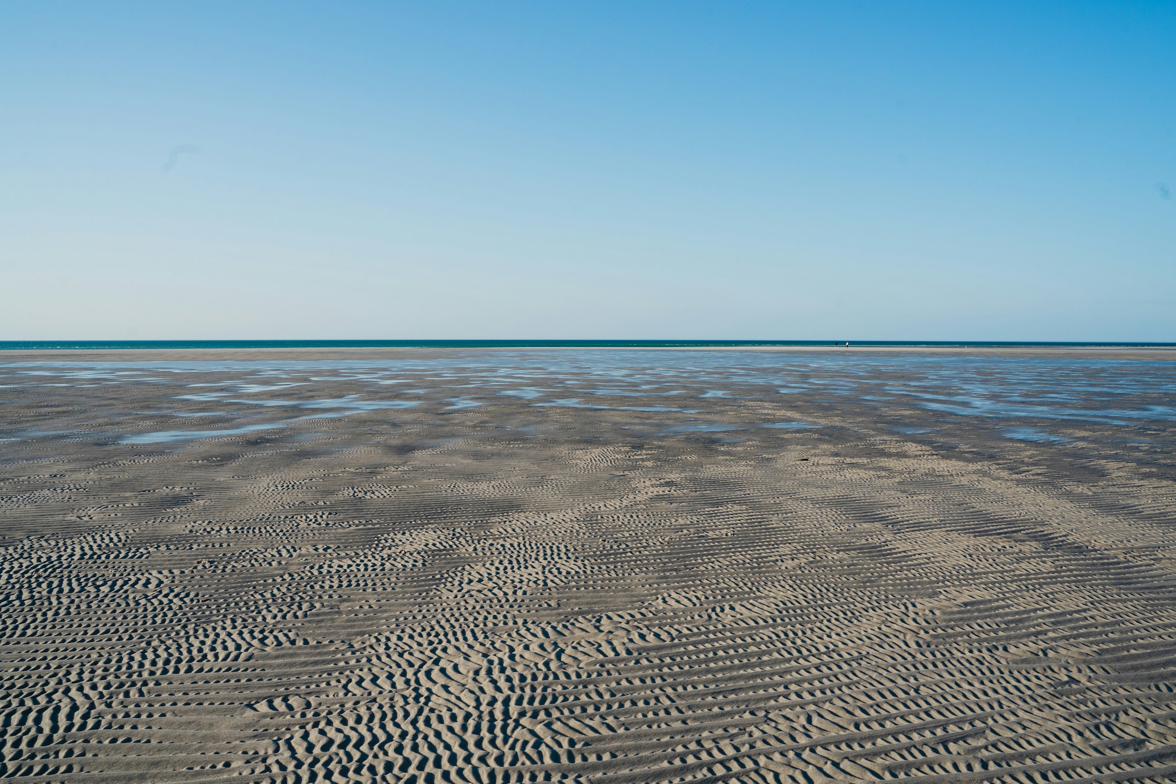 Low tide flats on Cape Cod. Photo by Andrew Spencer on Unsplash